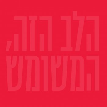 Aya Korem מהנדסת מחשבים