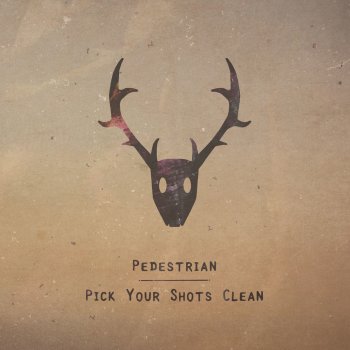 Pedestrian Pick Your Shots Clean