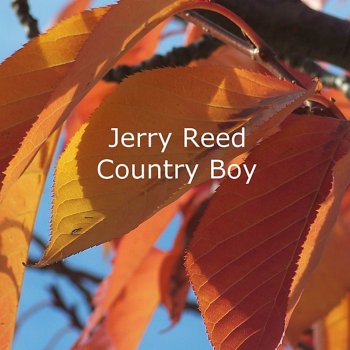 Jerry Reed Too Young to Be Blue