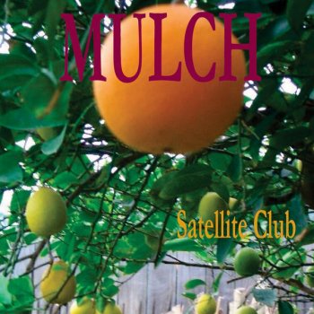 Исполнитель MULCH, альбом Satellite Club
