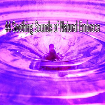 Wellness Promote Peace