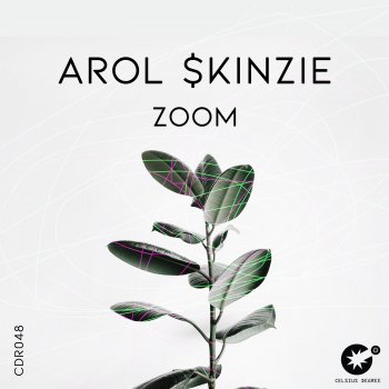 Arol $kinzie Zoom