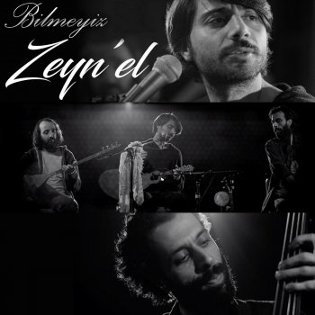 Zeyn'el Bilmeyiz