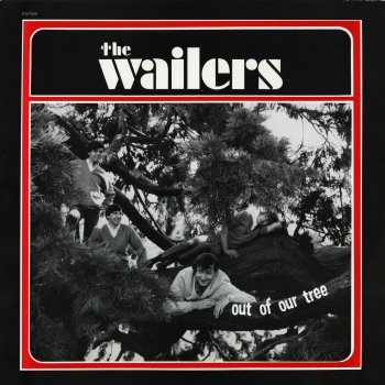 The Wailers I'm Down