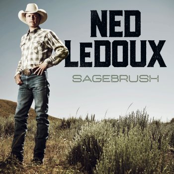 Ned LeDoux We Ain't Got It All