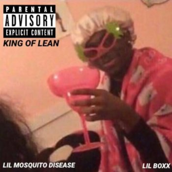 Lil Mosquito Disease feat. Lil Boxx & Lil Toy Yoda Big Flex Time, The Sequel