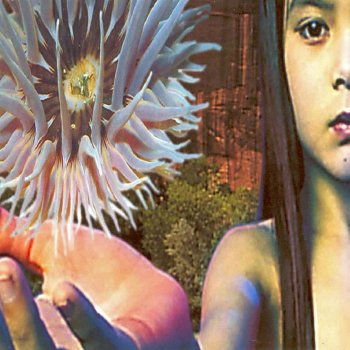 The Future Sound of London Lifeforms