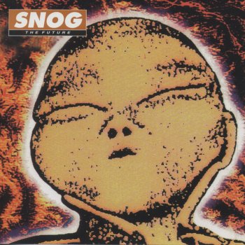 Snog We Decorate Your Life