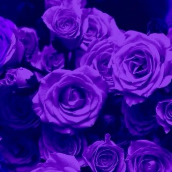 Mutepierre Do Re Mi Fa Sol