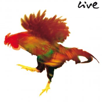 Herbert Grönemeyer Sie (Live)