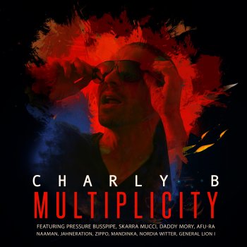 Charly B feat. Skarra Mucci In The Club