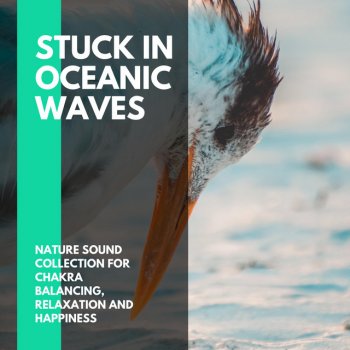 Golden Slumber Nature Sounds White Thunder Beach