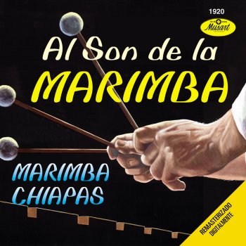 Marimba Chiapas La Tortuga del Arenal