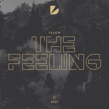 Felon The Feeling - Extended Mix