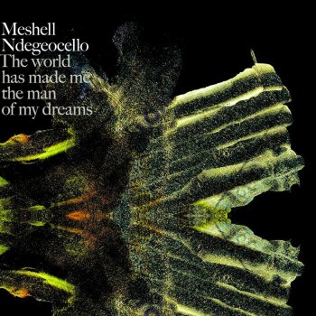 Meshell Ndegeocello Soul Spaceship