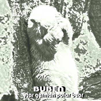 Buben Conflict of Interest?