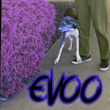 Evoo Bitch I'm back