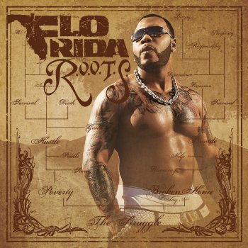 Flo Rida Finally Here (Amended)