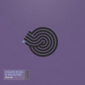 Liquid Soul feat. Neodyne Cherub