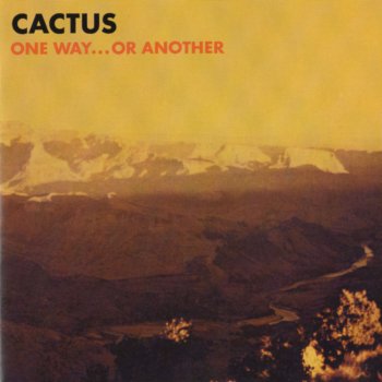 Cactus Hometown Bust