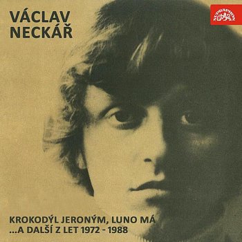 Vaclav Neckar feat. Sbor Lubomíra Pánka Táta, máma a syn