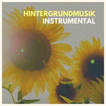 Hintergrundmusik Akademie Tiefe Meditation (New Age Music)