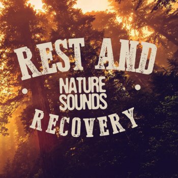 Healing Sounds for Deep Sleep and Relaxation Trickle Through the Forest