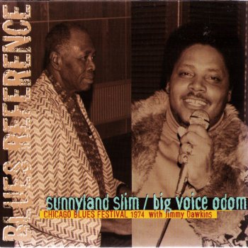 Sunnyland Slim Don't Ever Leave Me Alone