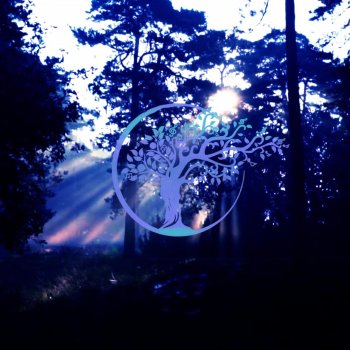 Relaxation Location Twilight In September