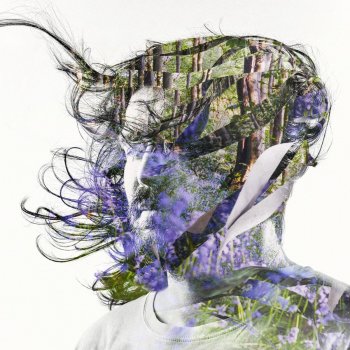 Bibio Violet (Japan Bonus)