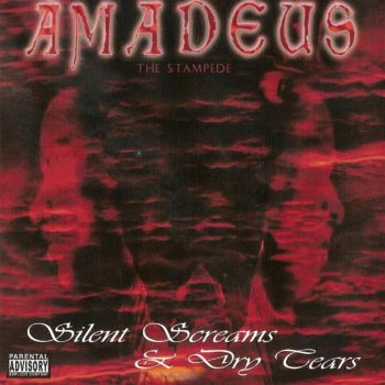 Amadeus The Stampede Rock Wit Me