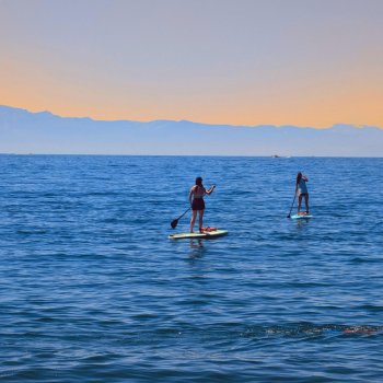 Исполнитель Mr. Hong, альбом dreaming