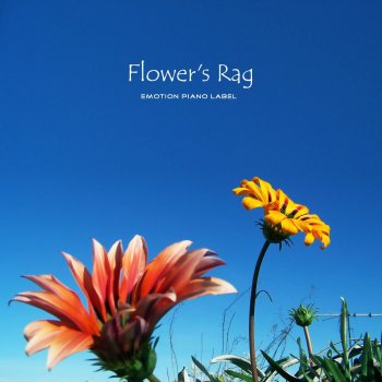 Cat's Piano Flower's Rag