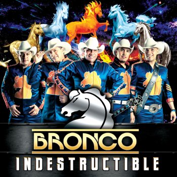 Bronco Fans