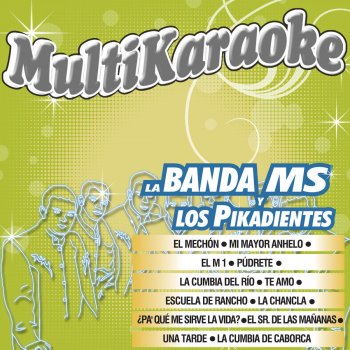 Multi Karaoke Pa' Que Me Sirve La Vida