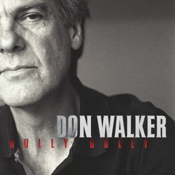 Don Walker The Long Way Home