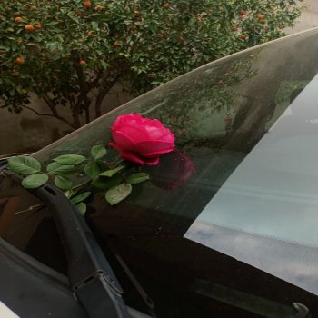 Исполнитель Loreto Sesma, альбом Desgarro