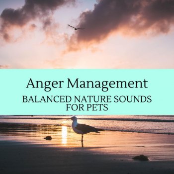 Awaken Soul Nature Sounds Thundering at Southern Coast
