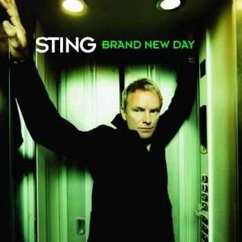 Sting After the Rain Has Fallen