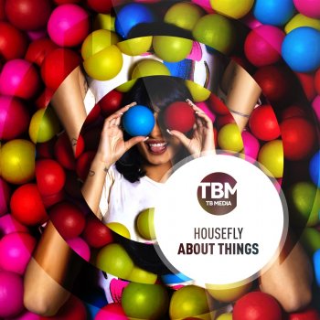 Housefly About Things (Extended Mix)