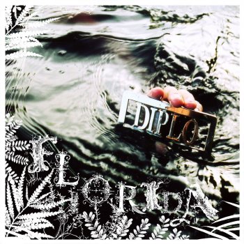 Diplo Florida