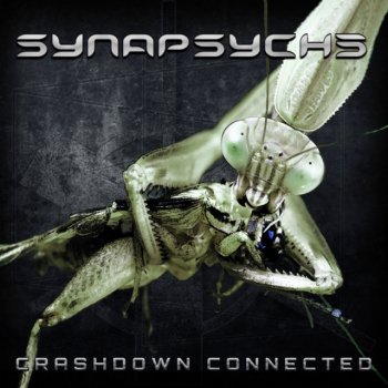 Synapsyche Electro-Shock 2.0