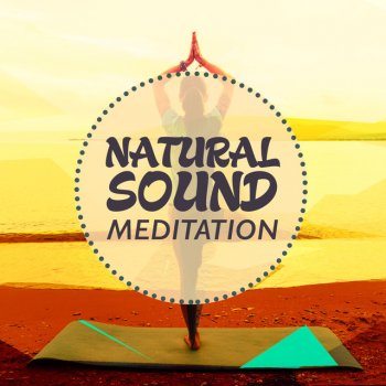 Nature Sounds Meditation Serenity Stream