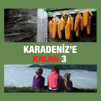 Şeyda Karadeniz Dertlerim Kalem Kalem