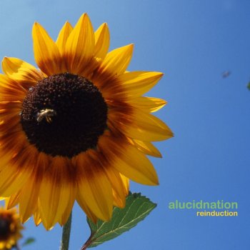 Исполнитель Alucidnation, альбом Re-induction
