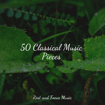 Deep Focus feat. Especialistas de Musica para Dormir & Entspannungsmusik Morning Melodies