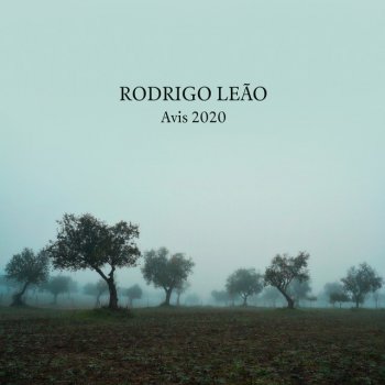 Rodrigo Leão Terra de Barro