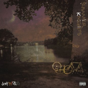 Joey Bada$$ Hilary $wank