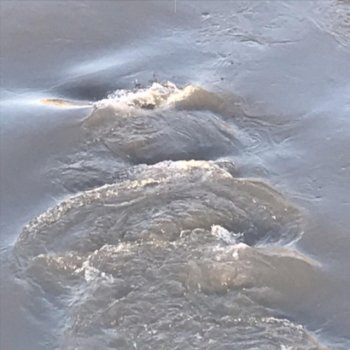 Esspe la scène