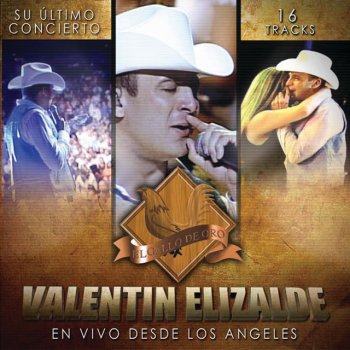 Valentin Elizalde Vete Ya (Live)